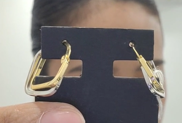 Earring 2 Tone