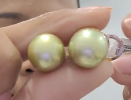 SSP Avocado Earring