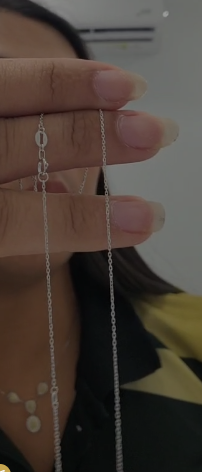 PT Chain